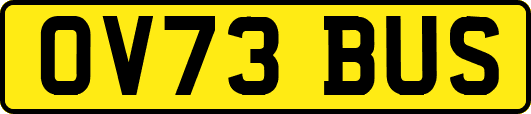 OV73BUS