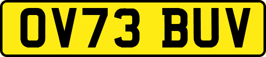 OV73BUV