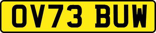 OV73BUW