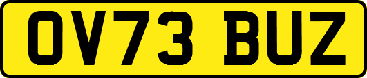 OV73BUZ
