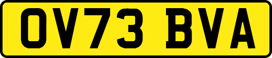 OV73BVA