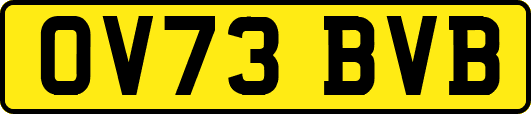 OV73BVB