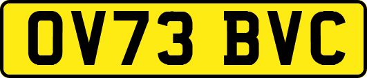 OV73BVC