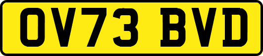 OV73BVD