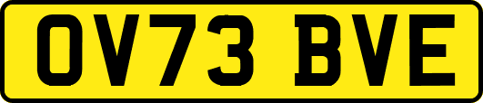 OV73BVE