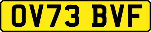 OV73BVF