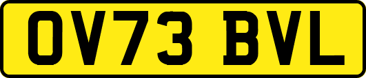 OV73BVL