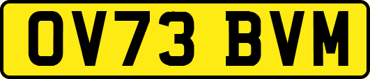 OV73BVM