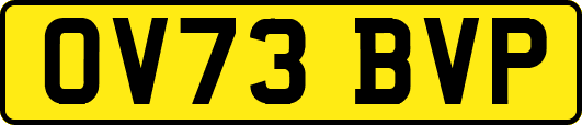 OV73BVP