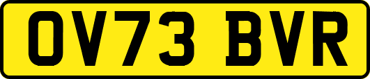 OV73BVR