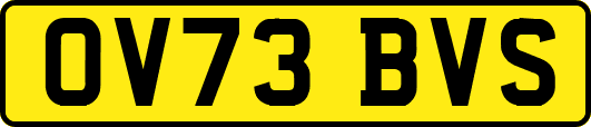OV73BVS