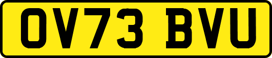 OV73BVU