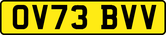 OV73BVV