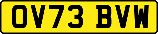 OV73BVW