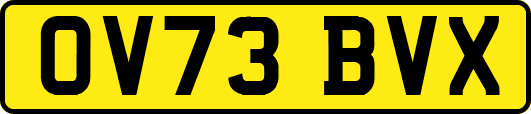 OV73BVX