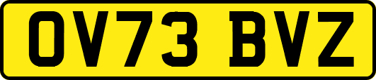 OV73BVZ