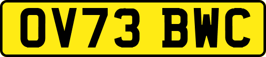 OV73BWC