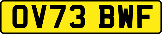 OV73BWF