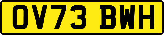 OV73BWH