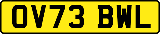 OV73BWL