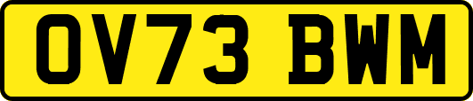 OV73BWM