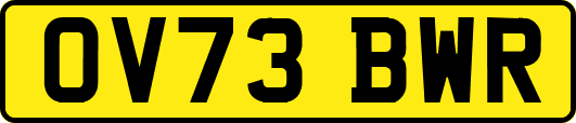 OV73BWR