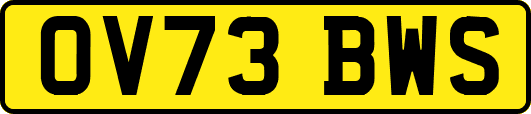OV73BWS