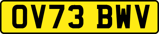 OV73BWV