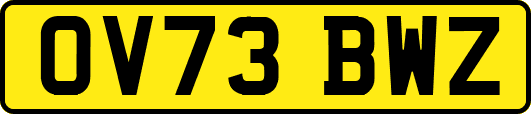 OV73BWZ