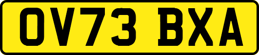 OV73BXA