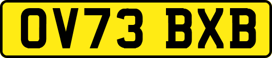 OV73BXB