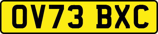 OV73BXC