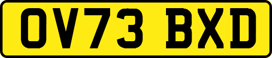 OV73BXD