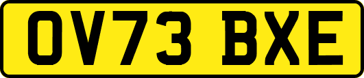 OV73BXE