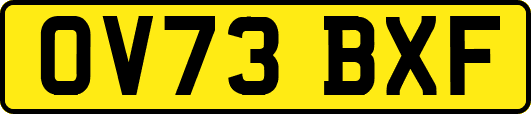 OV73BXF
