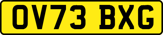 OV73BXG