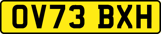 OV73BXH