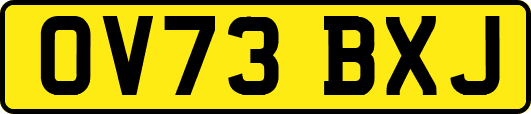 OV73BXJ