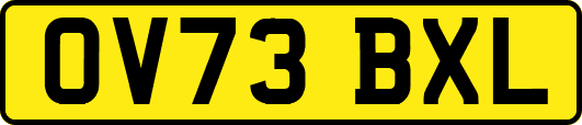 OV73BXL