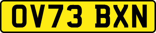 OV73BXN