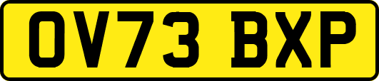 OV73BXP