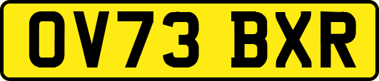 OV73BXR