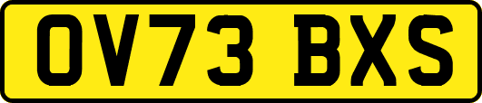 OV73BXS