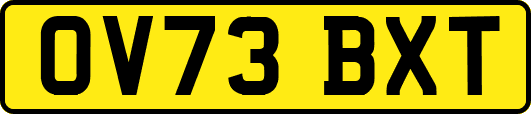 OV73BXT