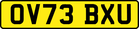 OV73BXU