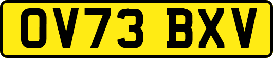 OV73BXV