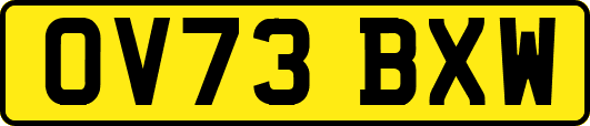 OV73BXW
