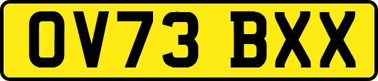 OV73BXX