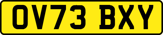 OV73BXY