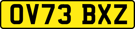 OV73BXZ